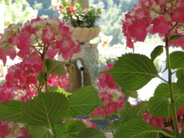 Les Florets Gigondas Exterior foto